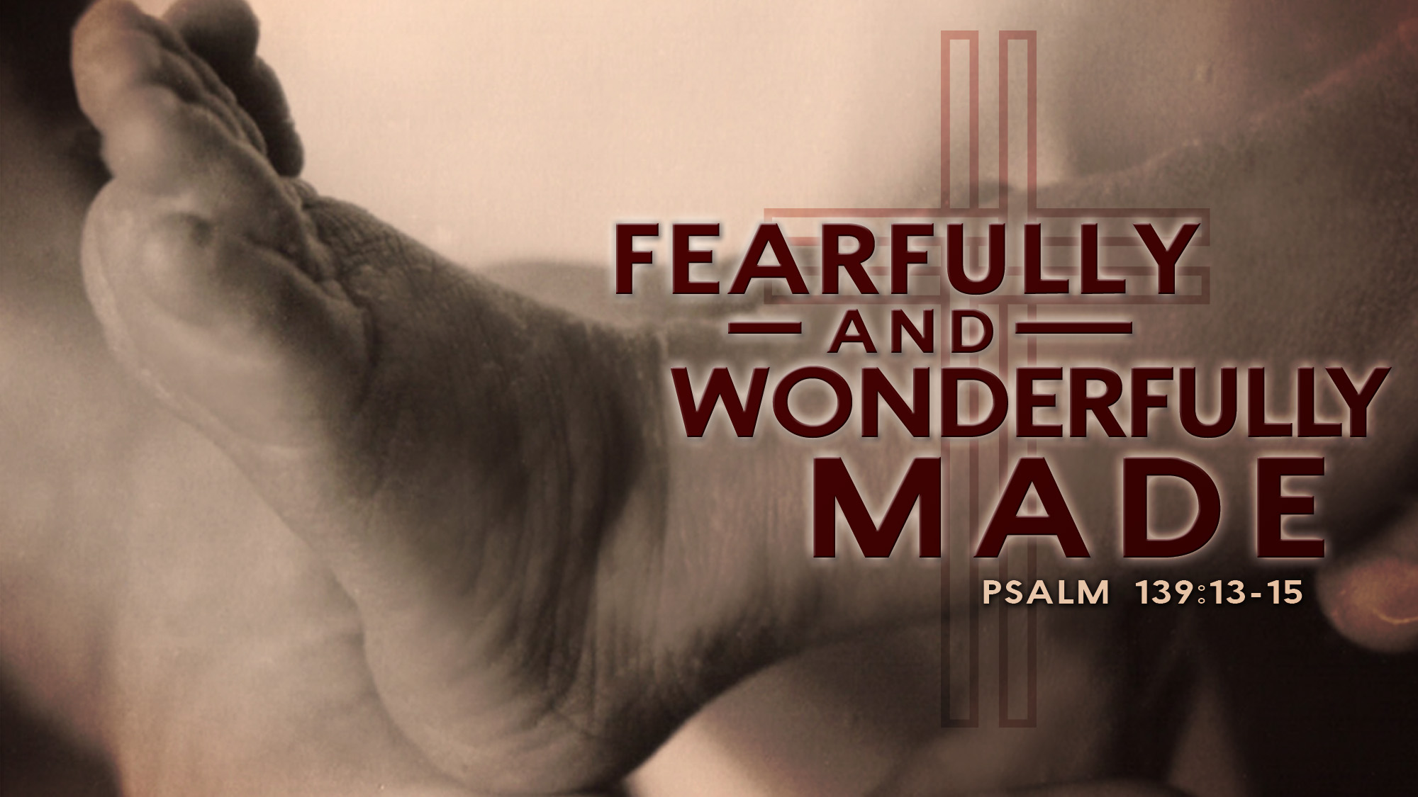 Fearfully And Wonderfully Made