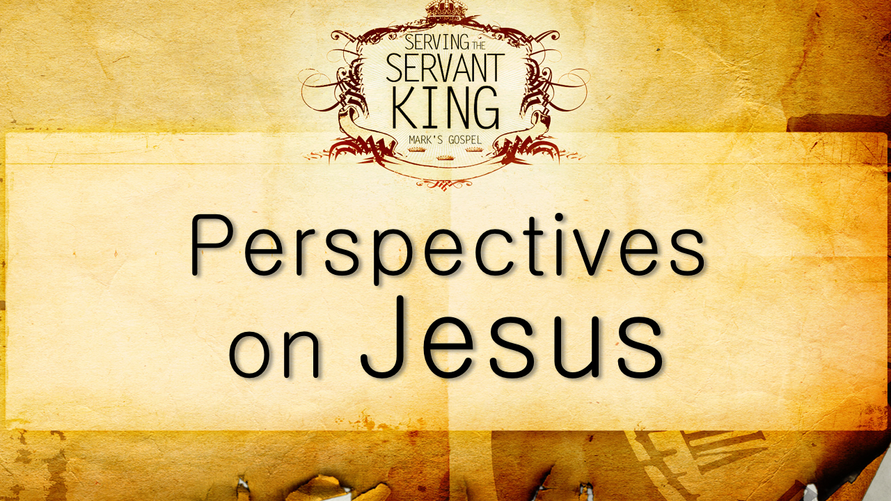Perspectives On Jesus